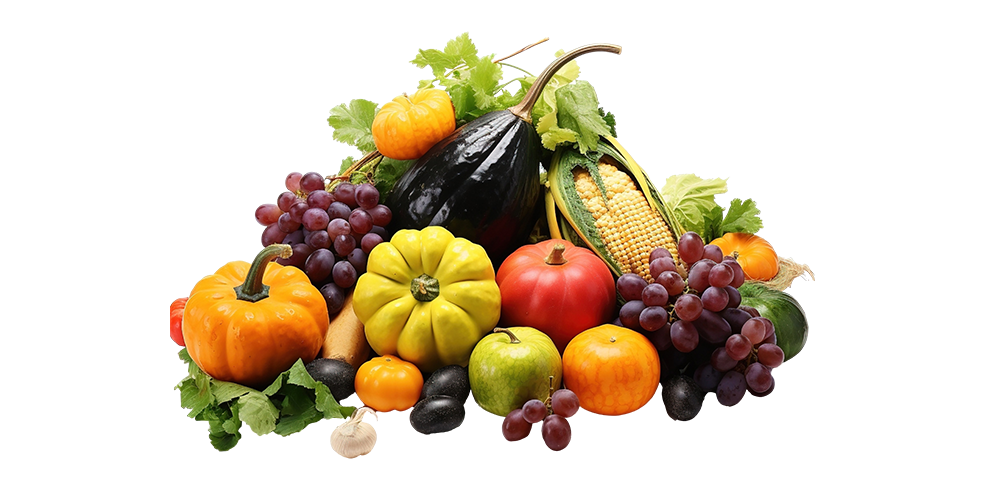 fruit-right